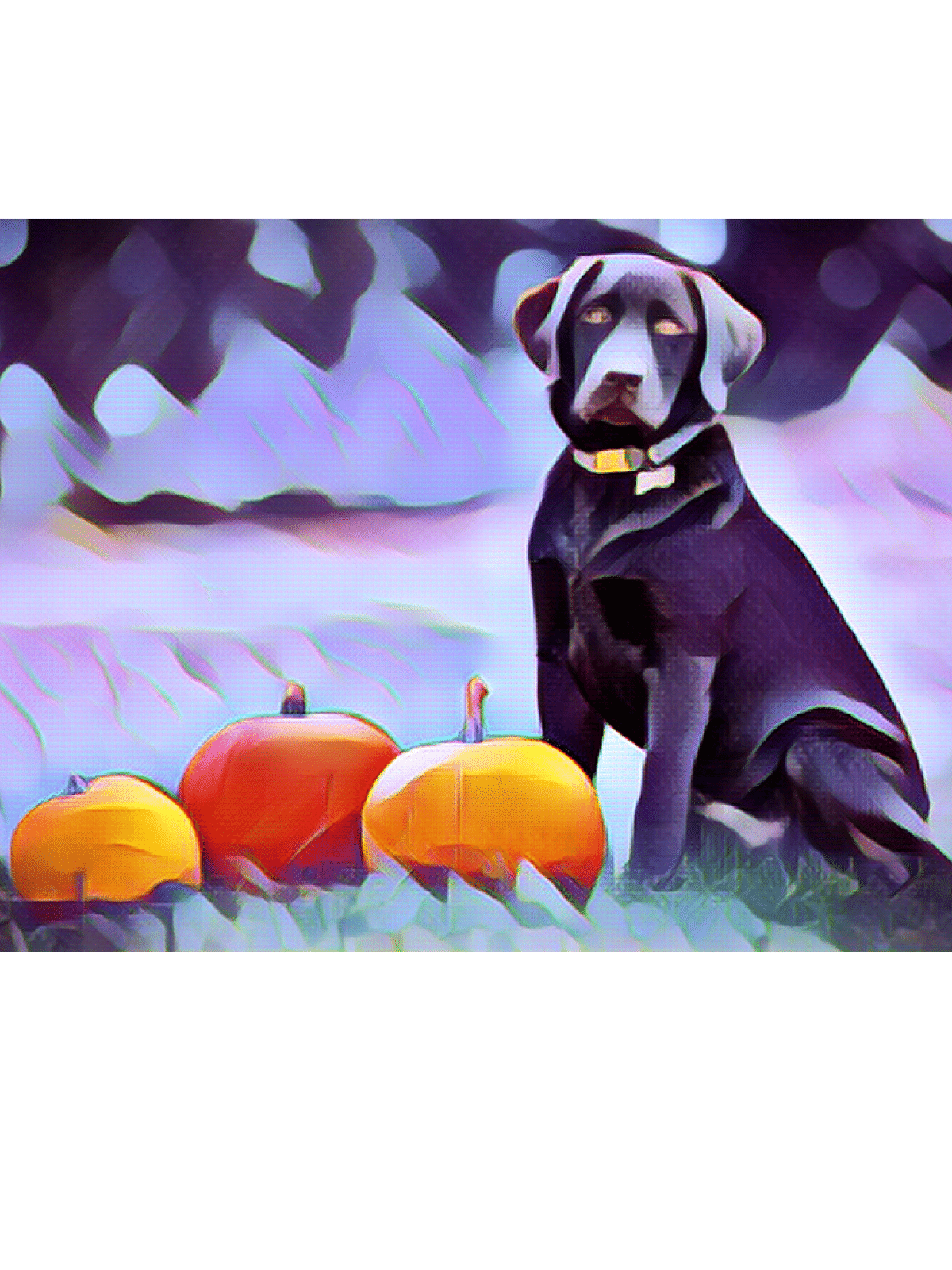 Halloween Dog Collars